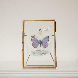 Brass Frames with Stand - SAVE 50%